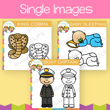 Introducing Single Images