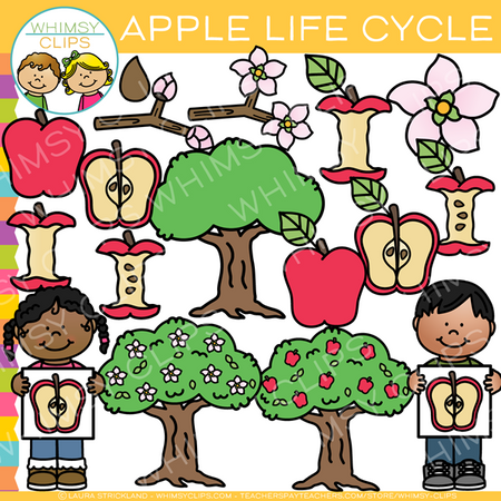 Apple Life Cycle Clip Art