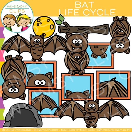 Bat Life Cycle Clip Art