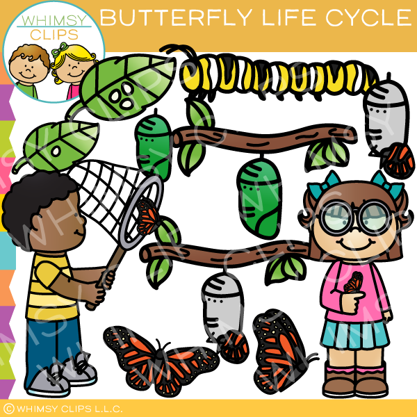 Butterfly Life Cycle Clip Art 