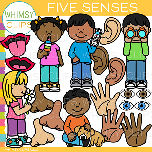 Five Senses Clip Art