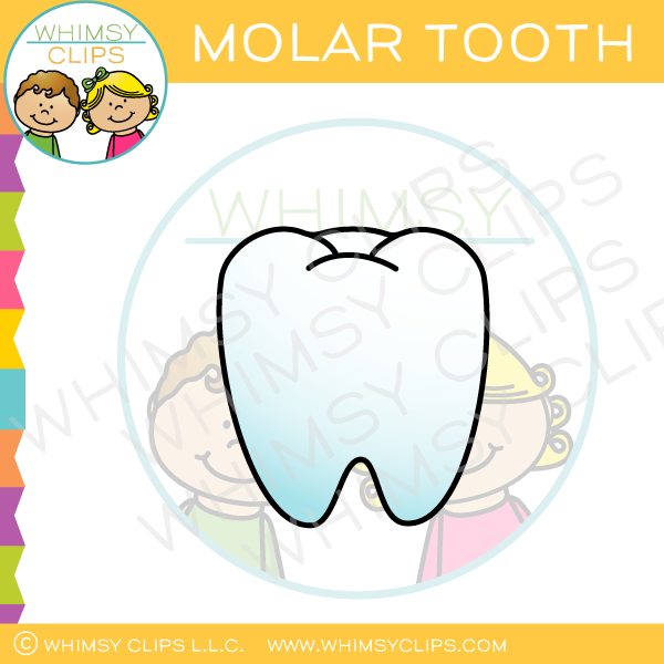 Molar Tooth Clip Art