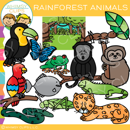 Rainforest Animal Clip Art