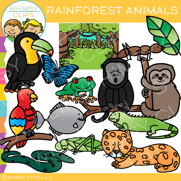 Rainforest Animal Clip Art