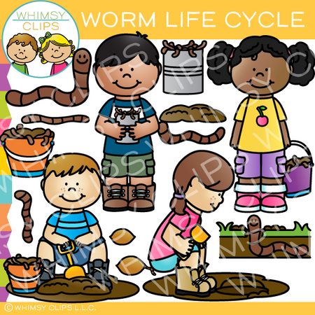 Worm Life Cycle Clip Art